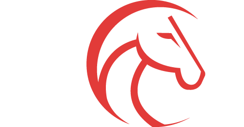 PACE Equine Therapy — Fysiotherapie en Chiropractie voor Paard en Ruiter